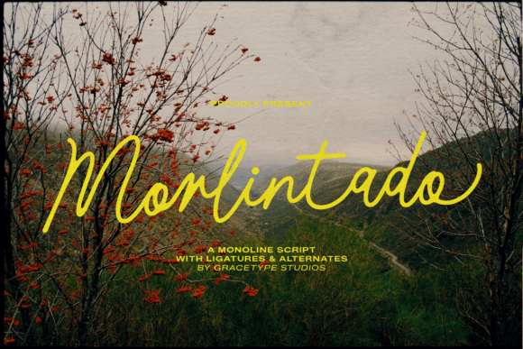 Embrace Autumn's Grace: The Morlintado Font Story