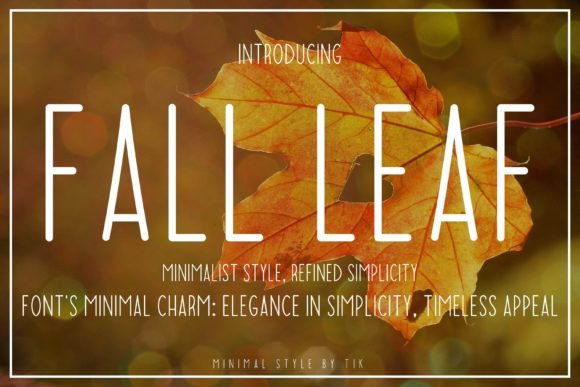 Fall Leaf: A Typeface Rooted in Modern Versatility