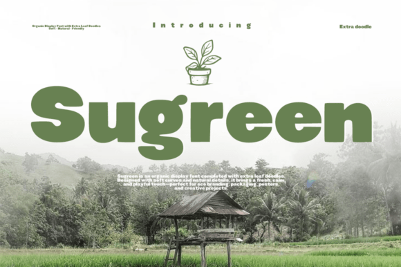 Sugreen: A Display Font Rooted in Nature's Calm