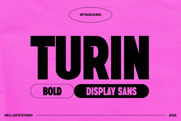 Turin: The Bold Display Sans for Confident Design
